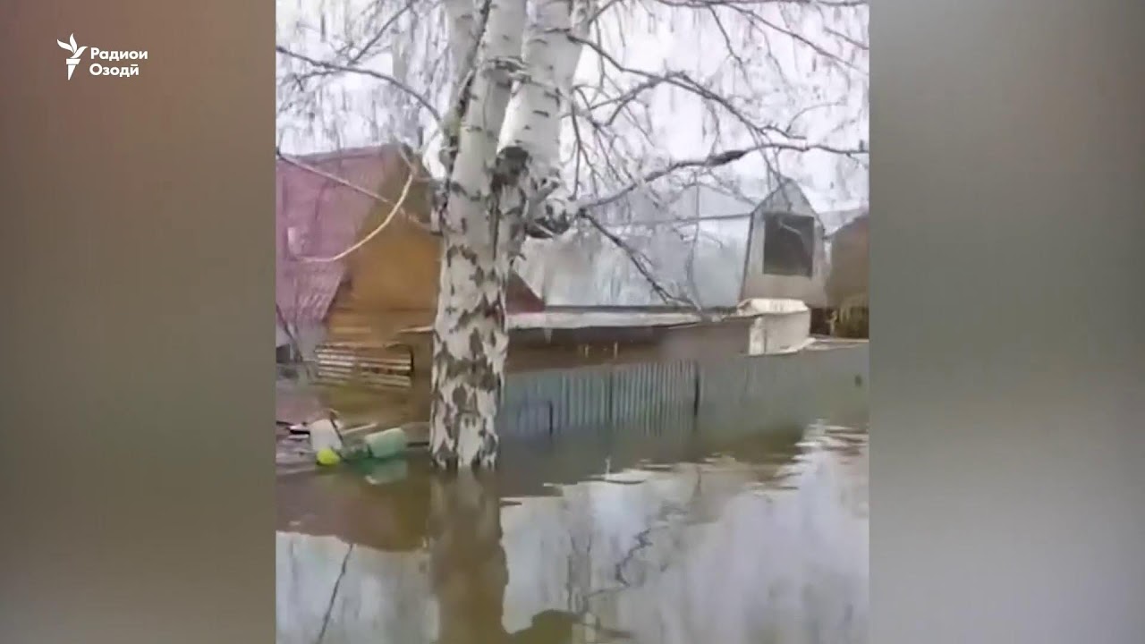 Ахбори Озодӣ аз 2-уми майи соли 2025 (Пахши зинда)