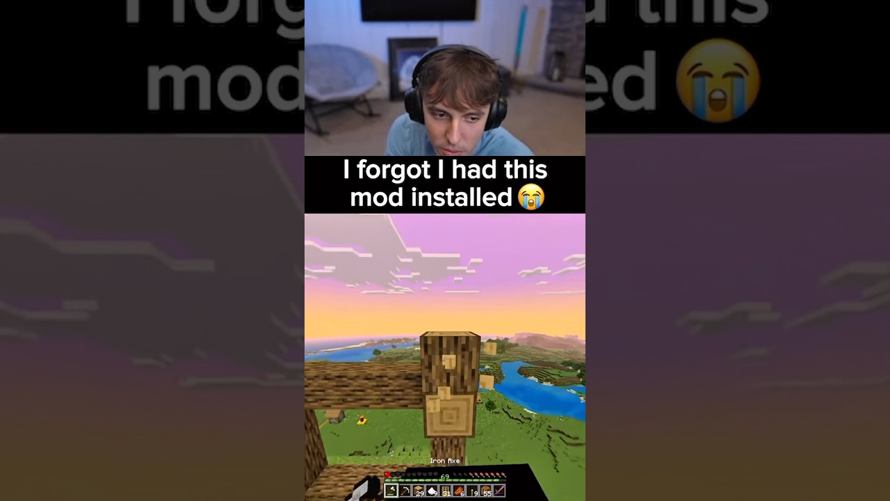 Я совсем забыла, что у меня установлен этот мод 😭