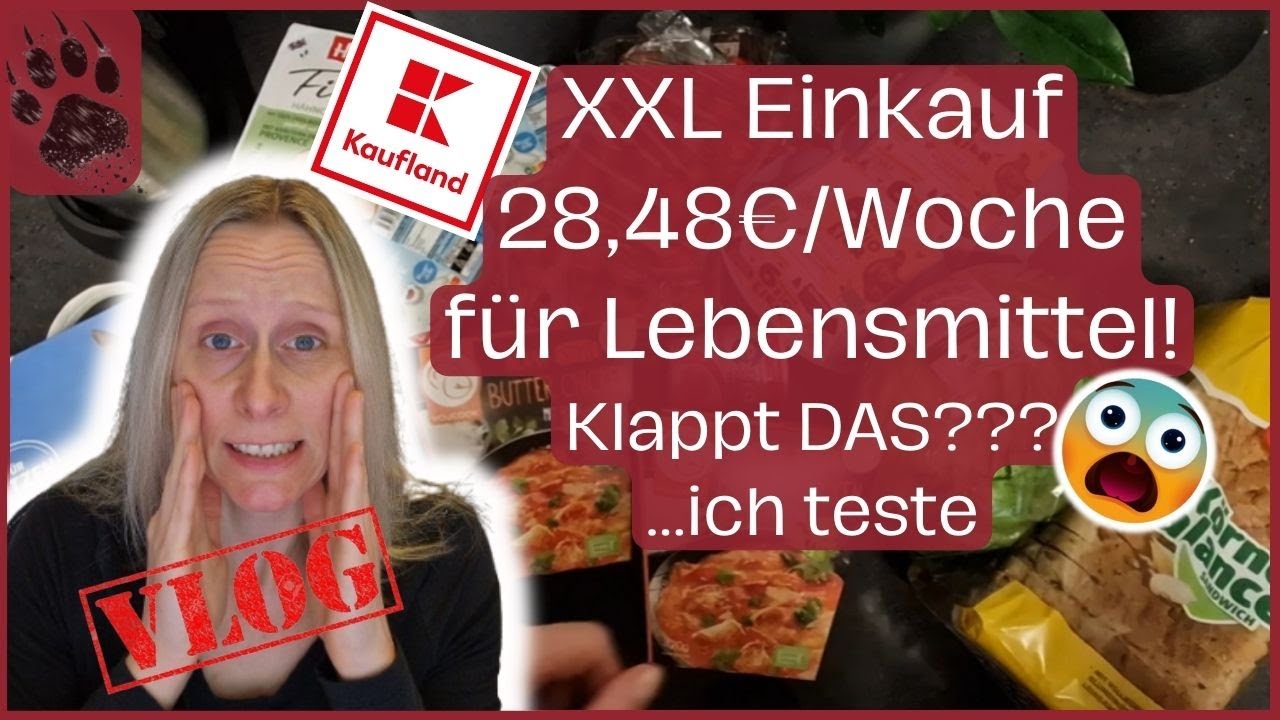 SPAREN extrem günstiger XXL VORRAT Wocheneinkauf 28,48€ 😱 KLAPPT DAS? #foodhaul #budgetplanung #vlog