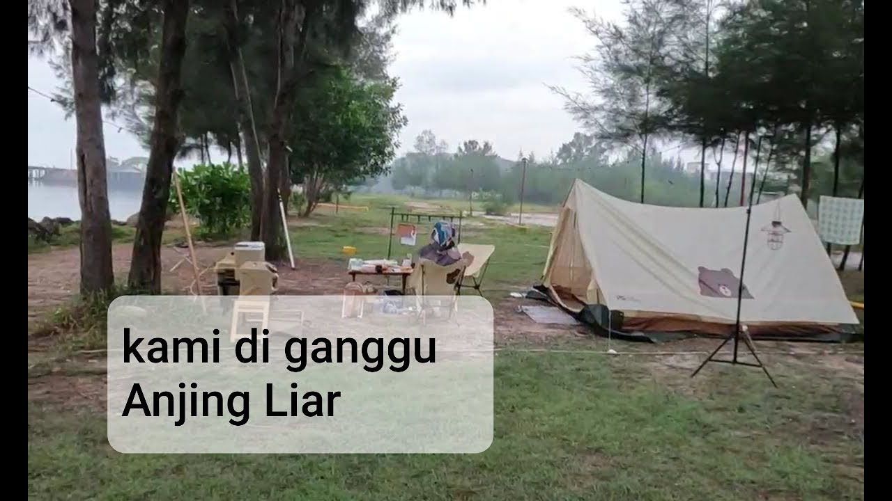 D'Wharf X'tivity Camp Park | syurga Pemancing | PD Waterfront, Port Dickson