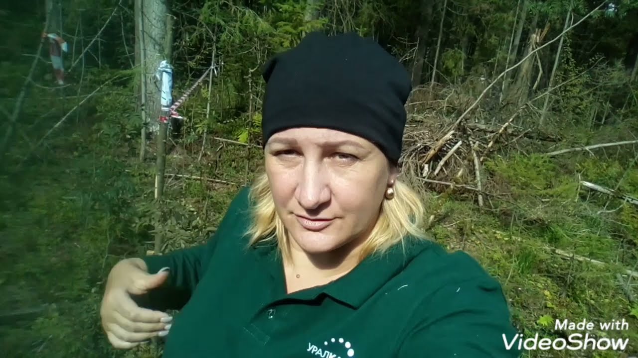 Наш первый перекус на участке, до которого нет дороги 😂🤣Шарапы