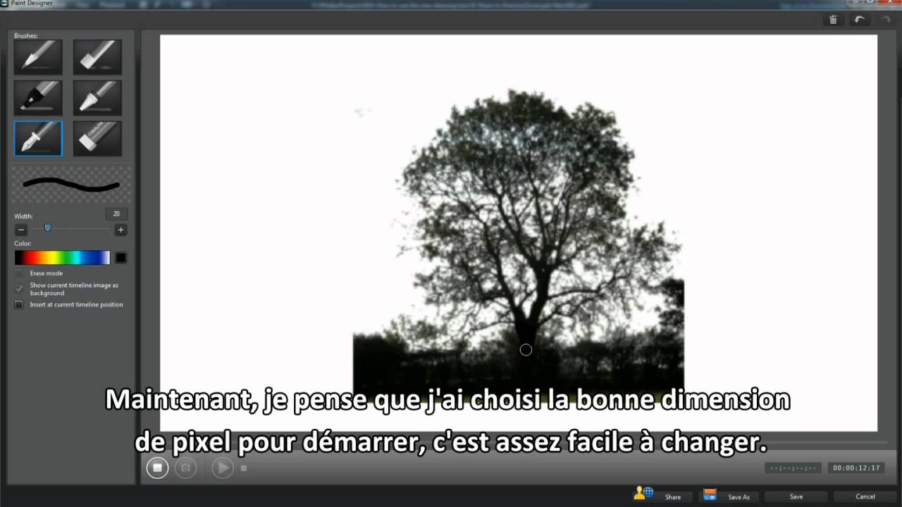 PowerDirector 10 tutoriel - Comment utiliser le nouvel outil d'animations de peintures  &agrave; la main