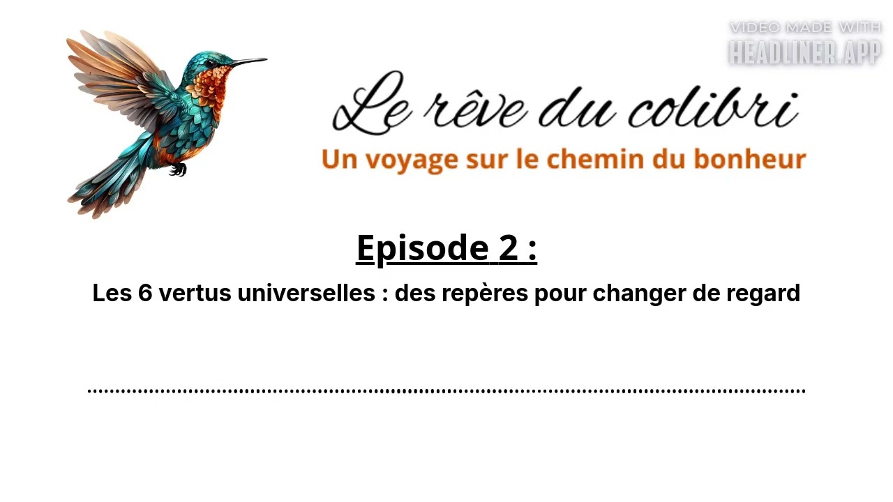 Episode 2 - Les 6 vertus universelles - des repères pour changer de regard