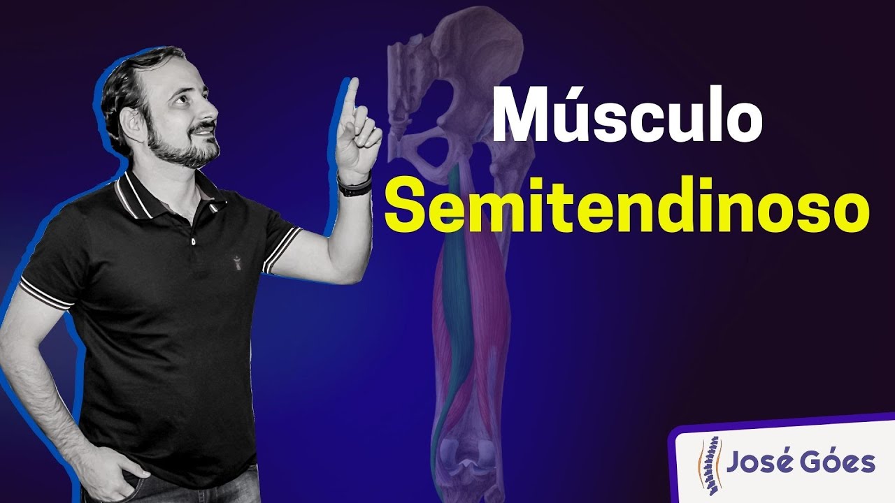Músculo Semitendinoso | José Góes