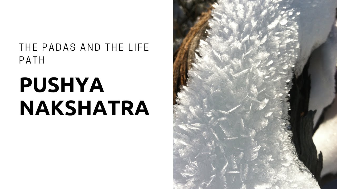 Pushya Nakshatra: The Padas and the Life Path