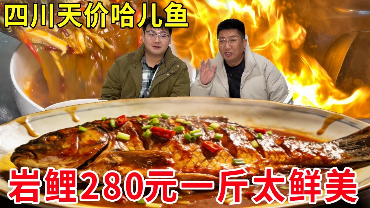 四川泸州吃天价哈儿鱼，岩鲤280元一斤，肉质鲜嫩太值了#麦总去哪吃