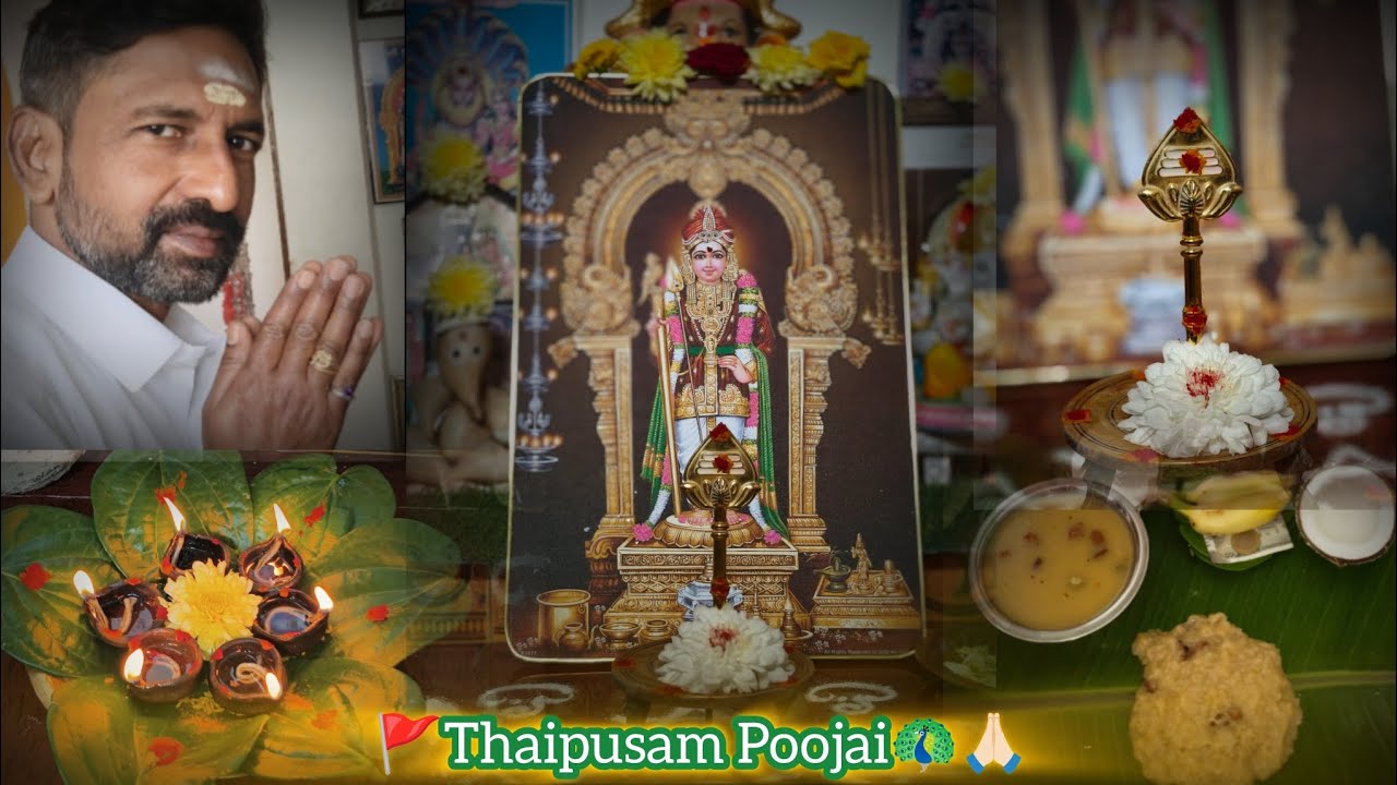 🙏🏻🦚🚩 Thaipusam Poojai 🦚🙏🏻🚩 2026✨