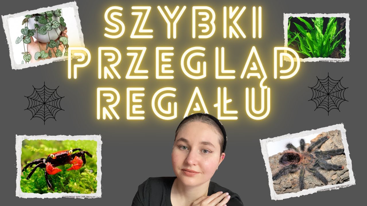 Organizacja naszego regału w salonie /Paludaria i akwarium🌱🐠
