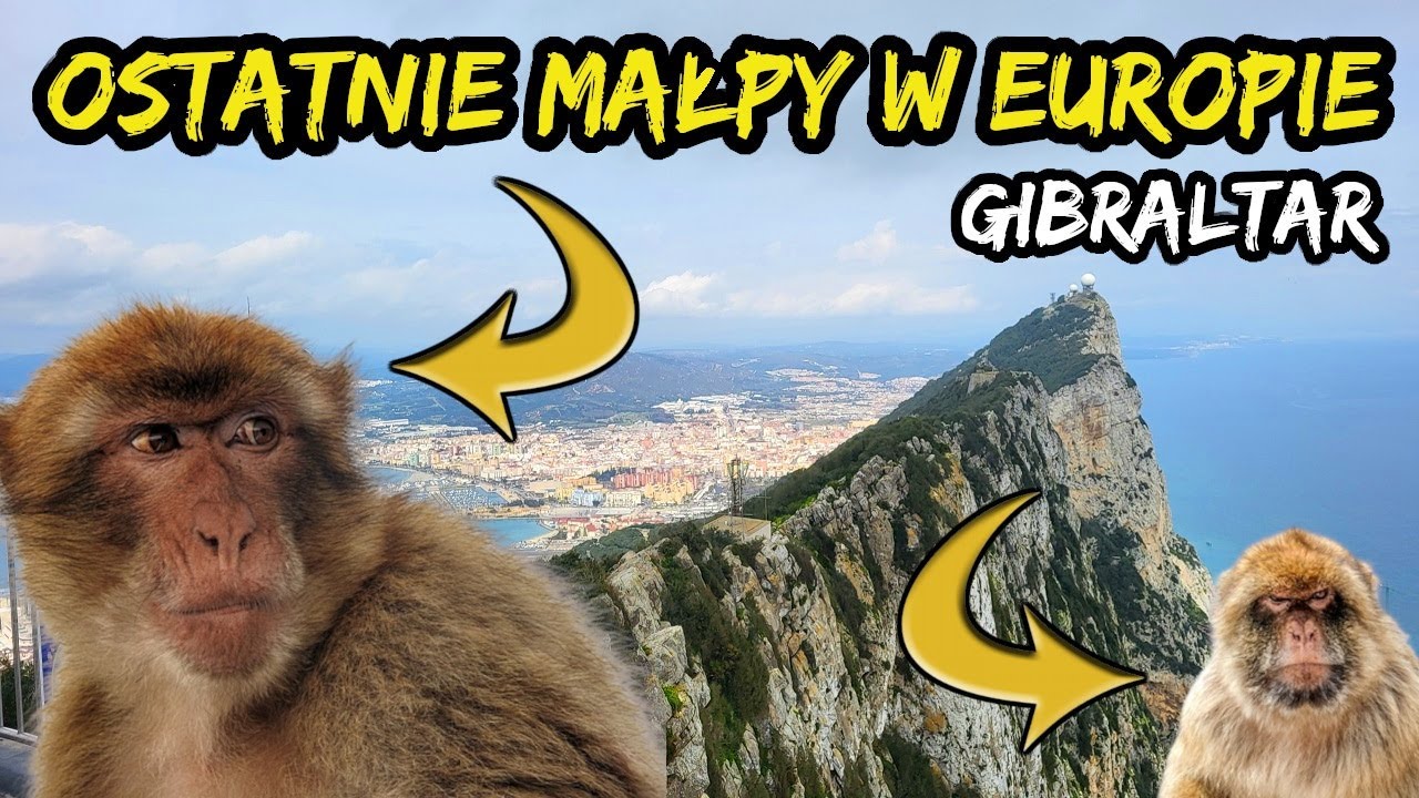GIBRALTAR 🇬🇧 Takie widoki to my lubimy 😁 Kolejka 🚠 Jaskinia, DUŻO małp 🐵 i tanie paliwo!