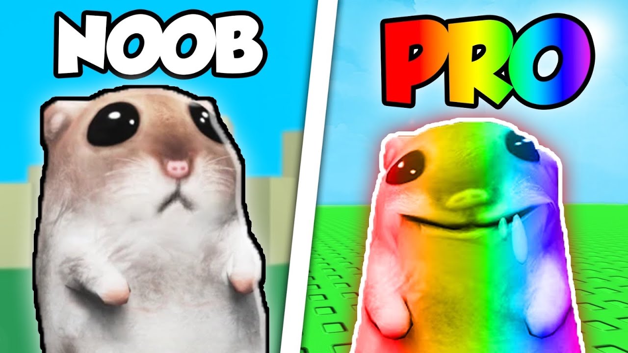 🐹 BÜTÜN HAMSTERLARI BULDUM! - Roblox