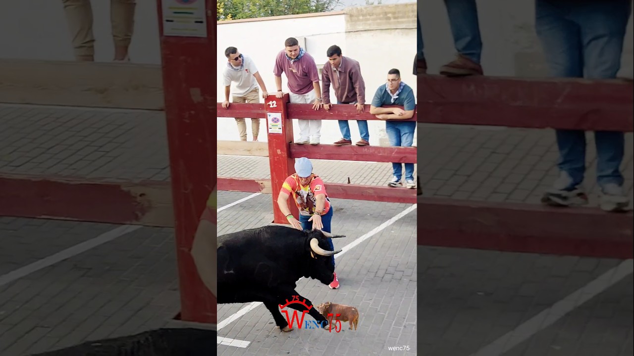 segundo y peligroso encierro de Bargas #toros #wenc75 #bull