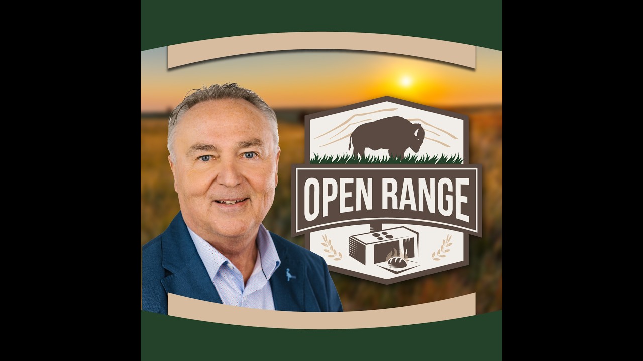 Перри Шумахер и @sdeace в программе Open Range &ndash; действительно хороший консервативный комментарий...