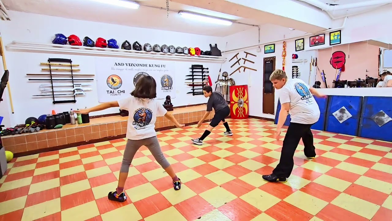 Corso Kung Fu per Bambini 2024 ::: #vizcondekungfu