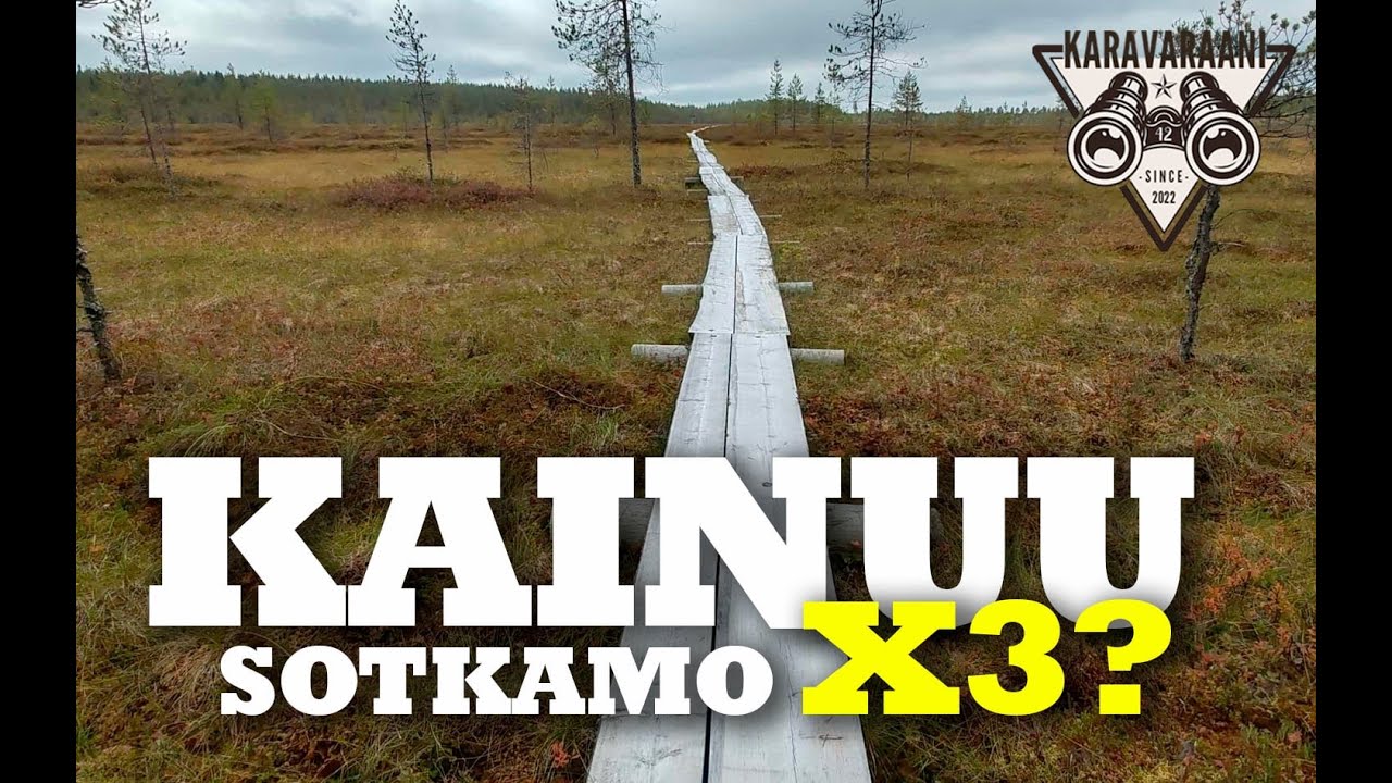 KAINUU SPOTTING | Sotkamo - taidepitkospuut, Aatos, Havukka-ahon ajattelija