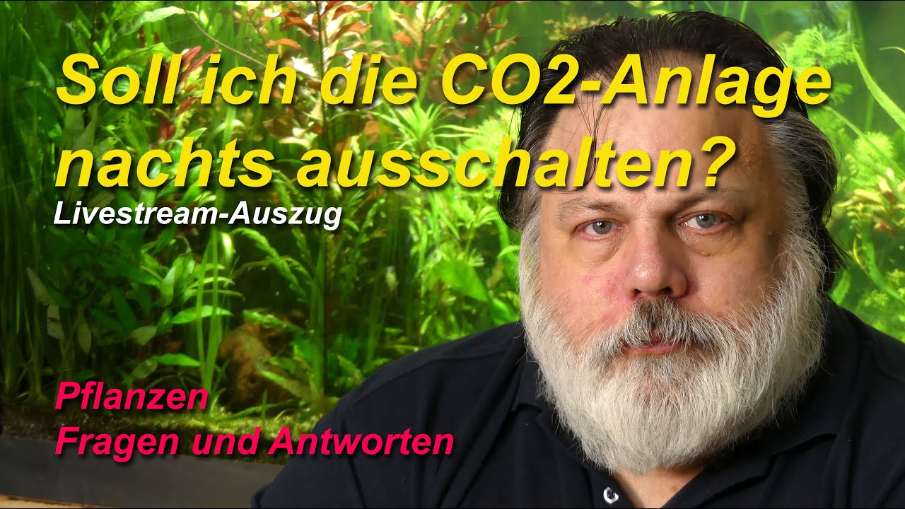 Sollte ich die CO2-Anlage Nachts ausschalten?