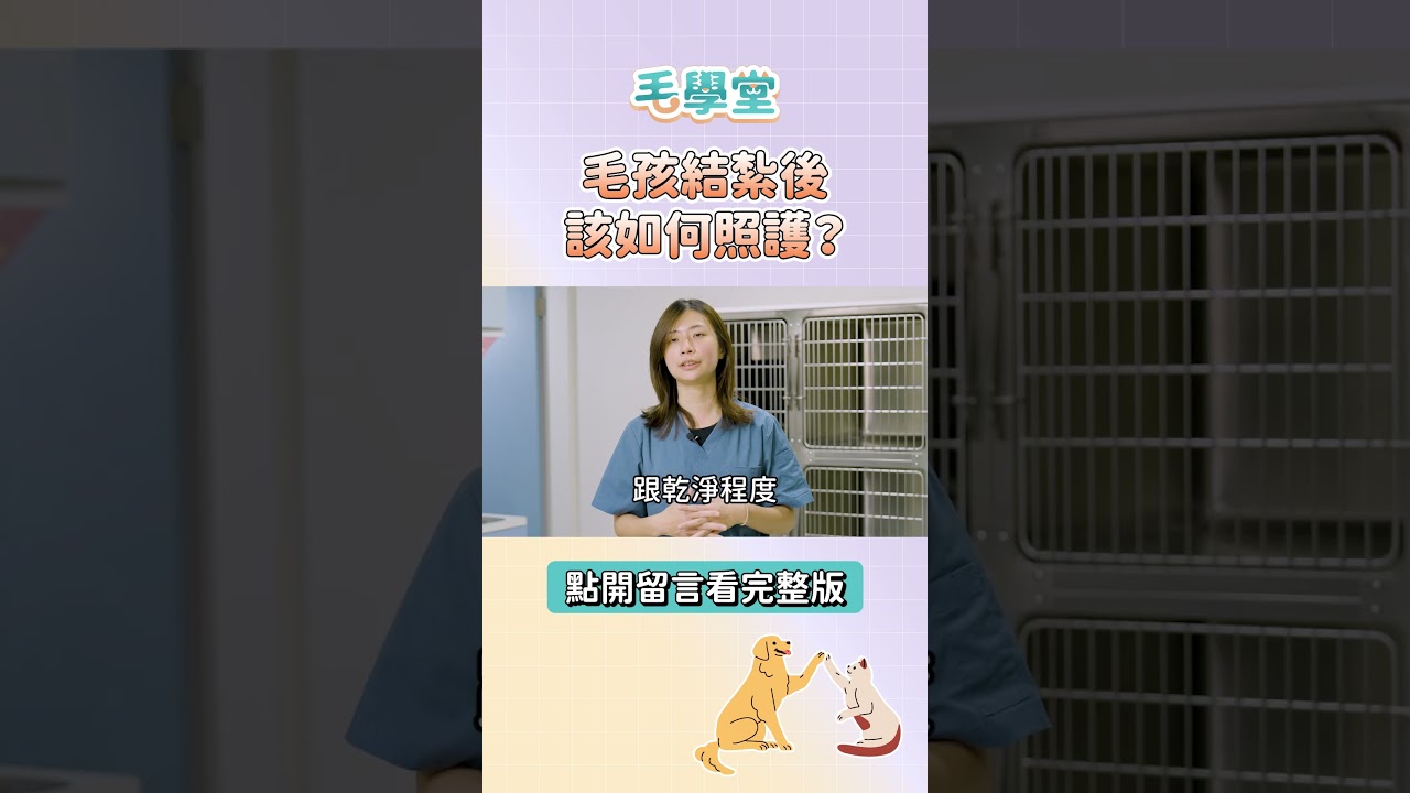貓咪狗狗結紮後該注意什麼？會抓傷口怎麼辦？ #毛學堂 #毛派樂動物醫院 #張佳倖