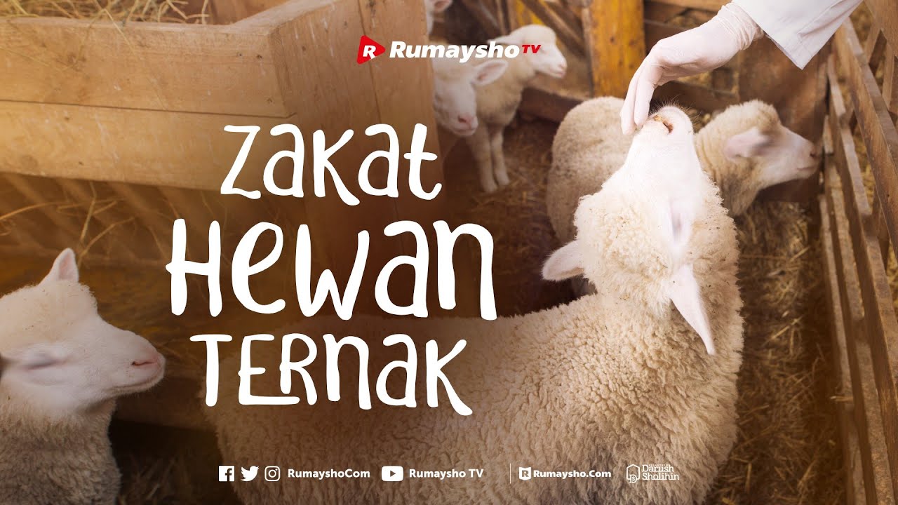 Zakat Hewan Ternak - Rumaysho TV