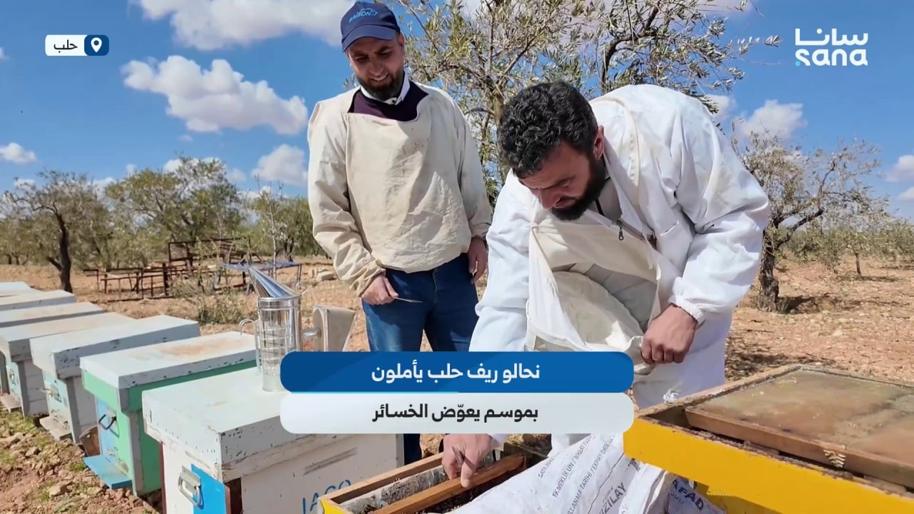 نحالو ريف حلب يأملون بموسم يعوّض خسائر العام الفائت جراء الجفاف