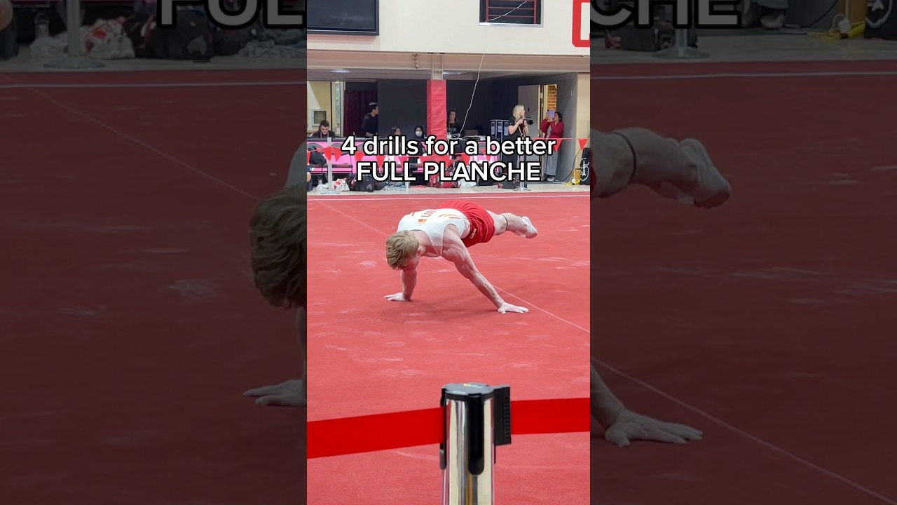 Full Planche Drills for you! #Calisthenics #Gymnastics #Planche