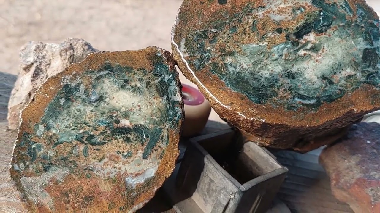 Rockhounding Central Oregon Fall 2023 Petrified Wood Limb Cast Cut and Reveal