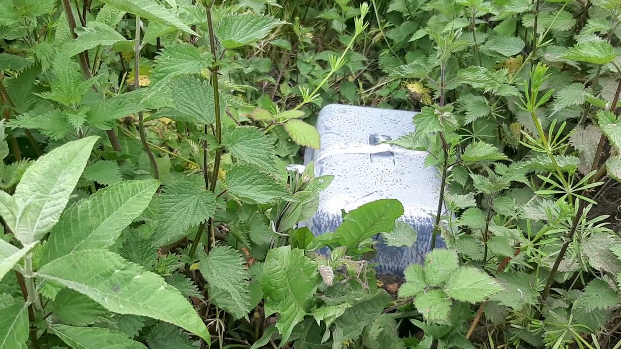 2022 Outdoor Grow