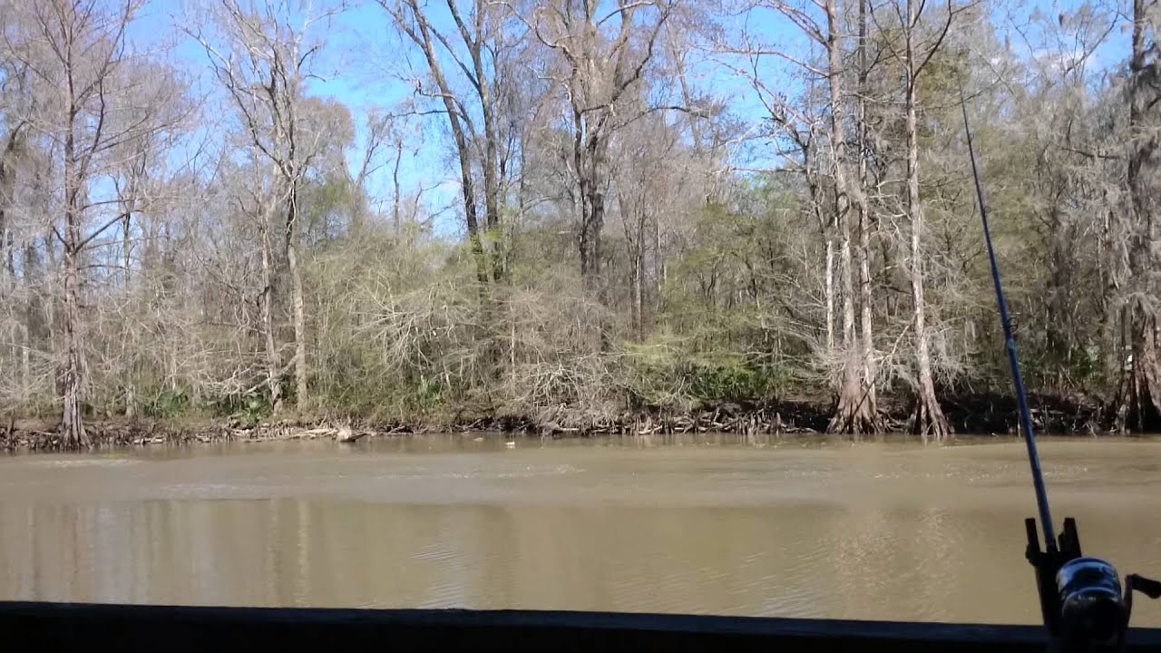 Lake Maurepas