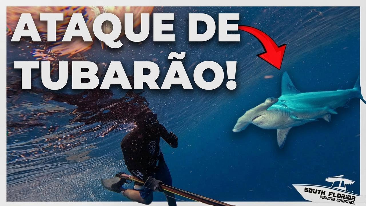 Tubarão-martelo ataca durante pesca submarina! Pega, limpa e cozinha com receita alemã