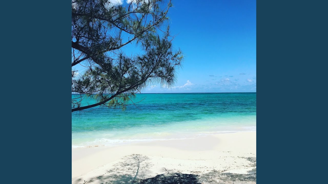 La Playa (Remix)