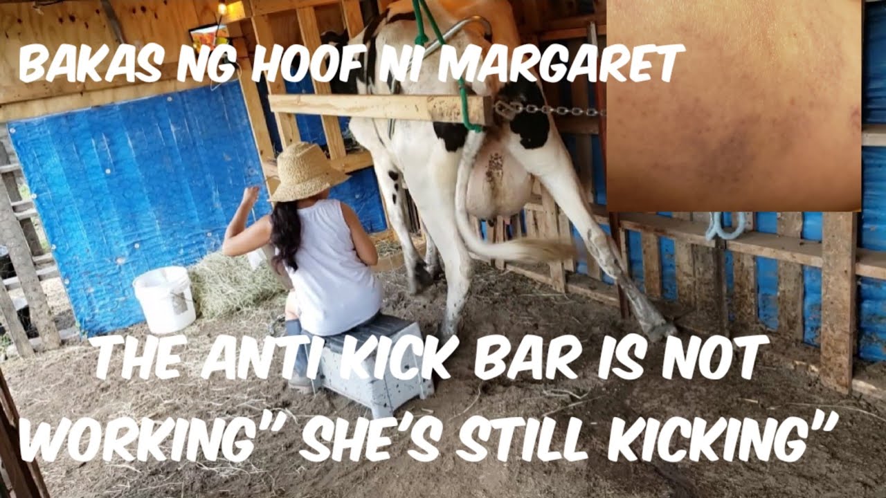 The anti kick bar is not working 