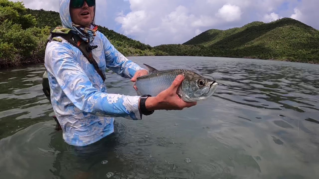 Virgin Islands Tarpon on the Fly