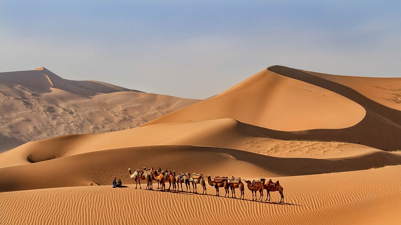 Index launched to explain One Belt One Road to world and help investments