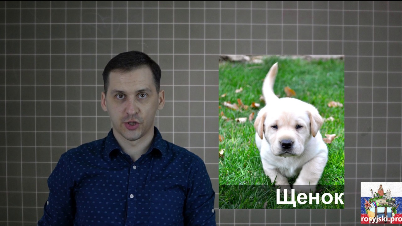 Kurs języka rosyjskiego: Alfabet rosyjski