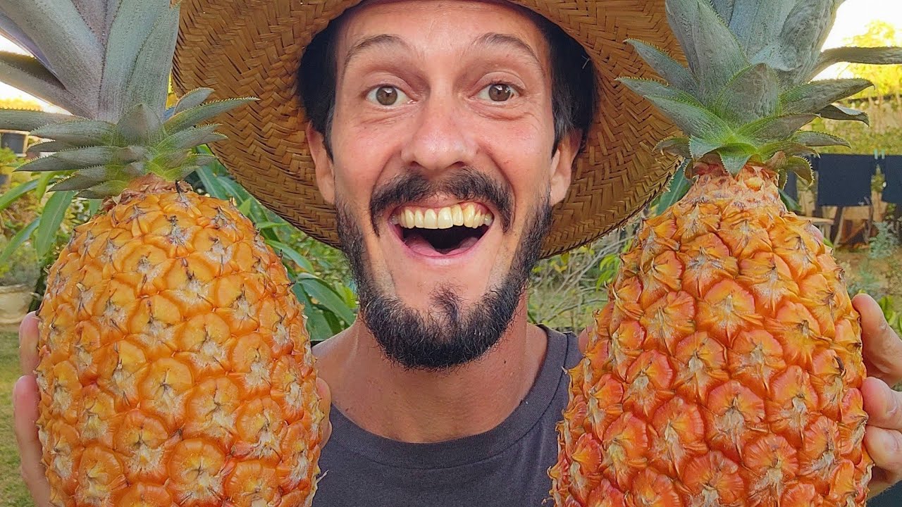NÃO PLANTE UMA MUDA DE ABACAXI ANTES DE ASSISTIR ESSE VÍDEO.