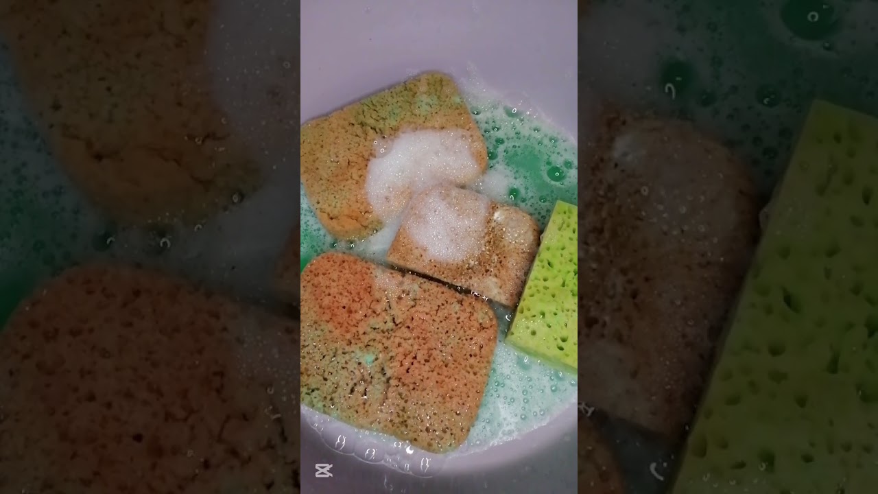 ASMR I Settled cloud Paste and Pine gel ☁️🌲🧽💦