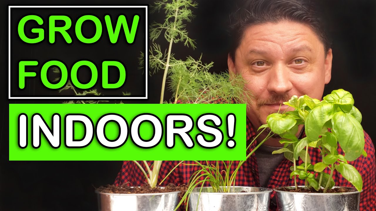 Growing Food Indoors - The Ultimate Guide
