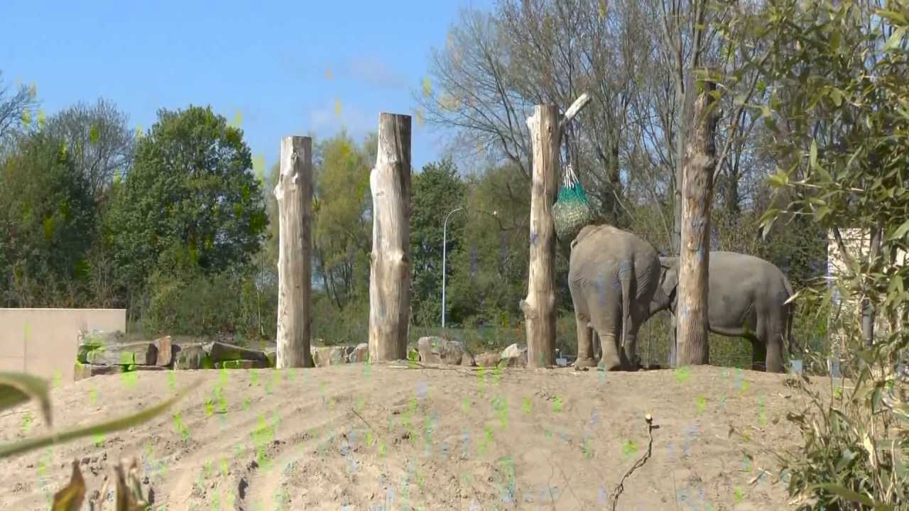 Dierenpark Planckendael