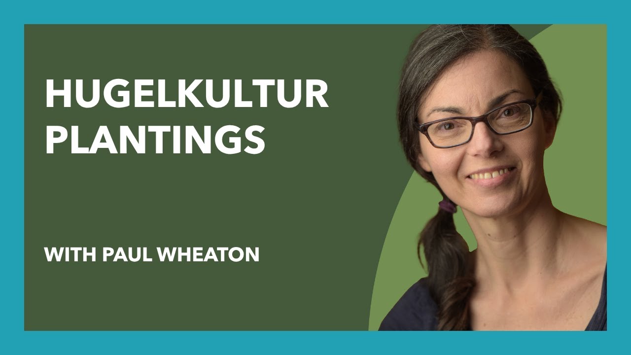 Hugelkultur and Fruit Trees with Paul Wheaton (eps 97) #permaculture #fruittrees