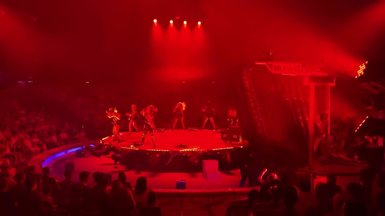 En direct du Cirque Knie à Berne