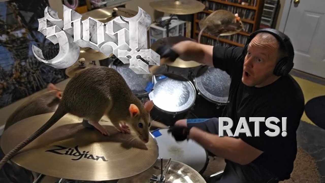 Ghost - Rats (drum cover) 