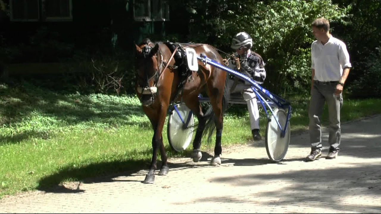Derby Selecties 2012