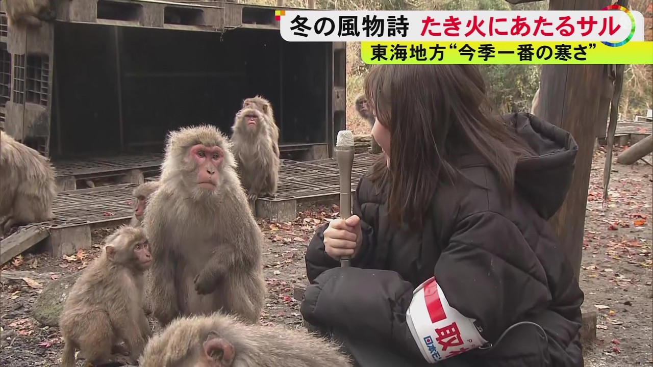 ホクホクの焼き芋を池で冷まして頬張る姿も…冬の風物詩「たき火にあたるサル」21日から一般公開