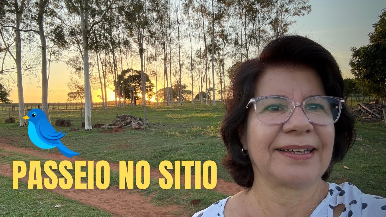 Quem Mora na Cidade Precisa Ver Isso | Coleção de Orquídeas + Receita de quiabo sem Baba no Sítio