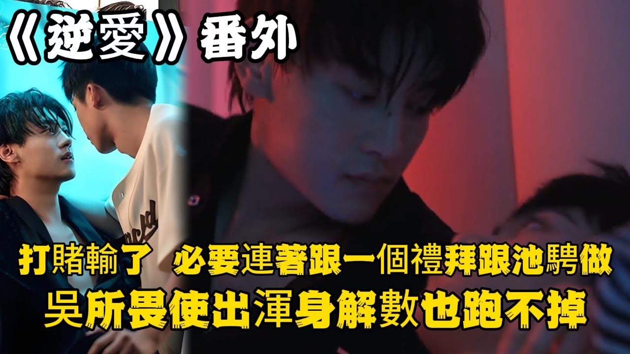 《逆愛》：番外！吳所畏打賭輸了，必要連著跟一個禮拜跟池騁做，吳所畏使出渾身解數也跑不掉。#田栩宁 #梓渝 #吴所畏 #池骋 #逆爱 #revenged