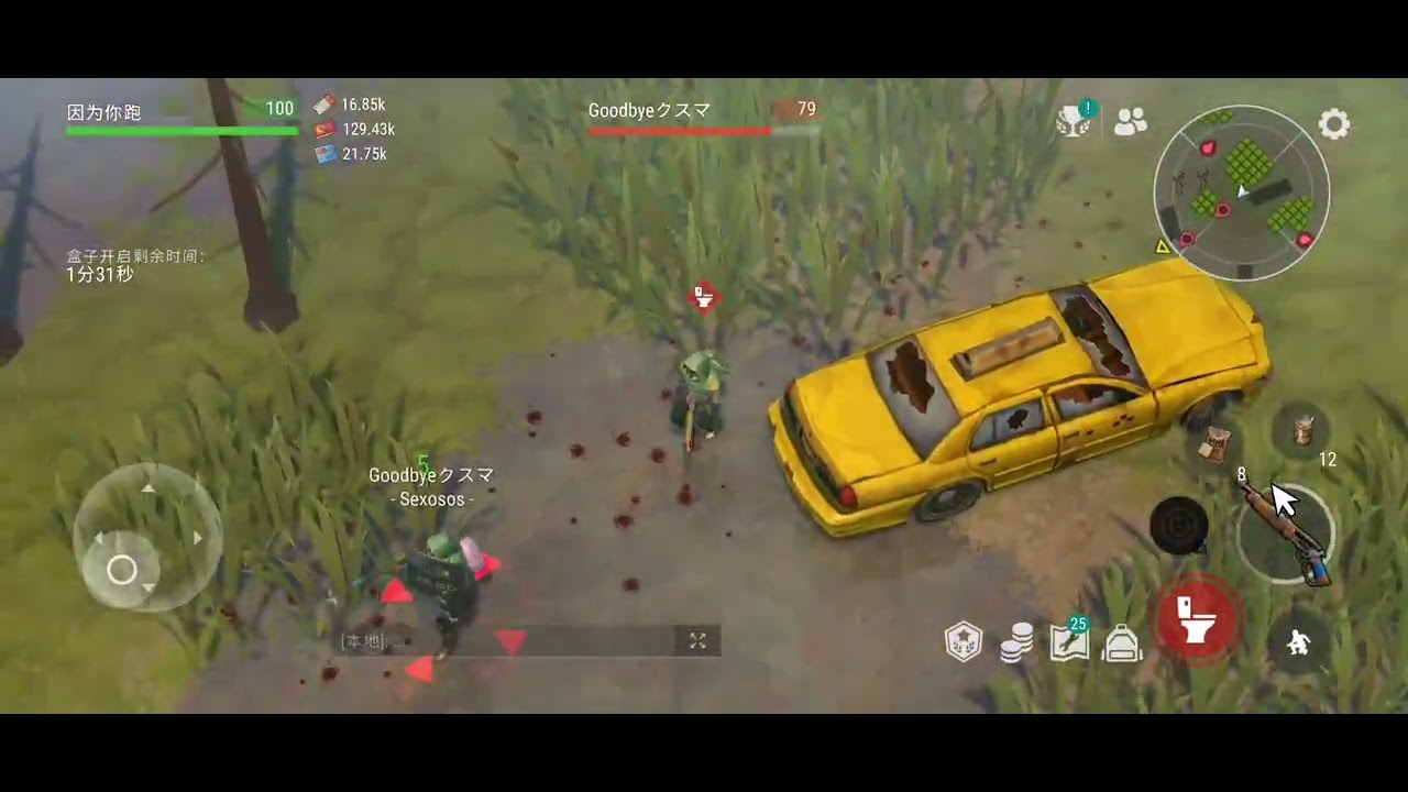 pvp 21