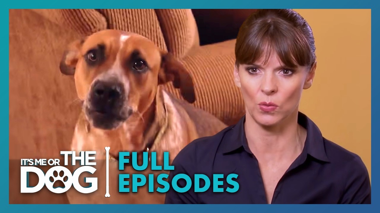 Ending the $15,000 House Destruction! | Season 4 Episode 5 | It's Me Or The Dog US
