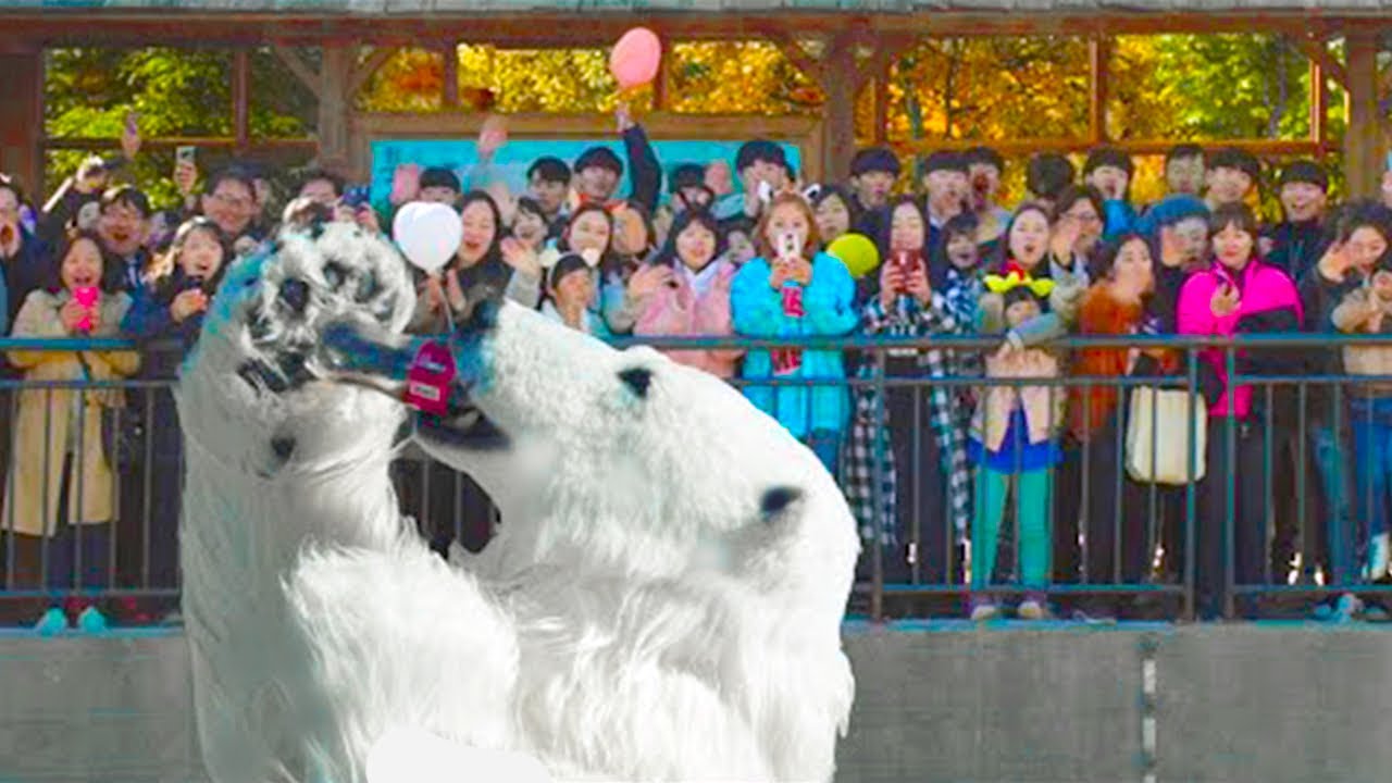 Broke Zoo Uses Employees As 