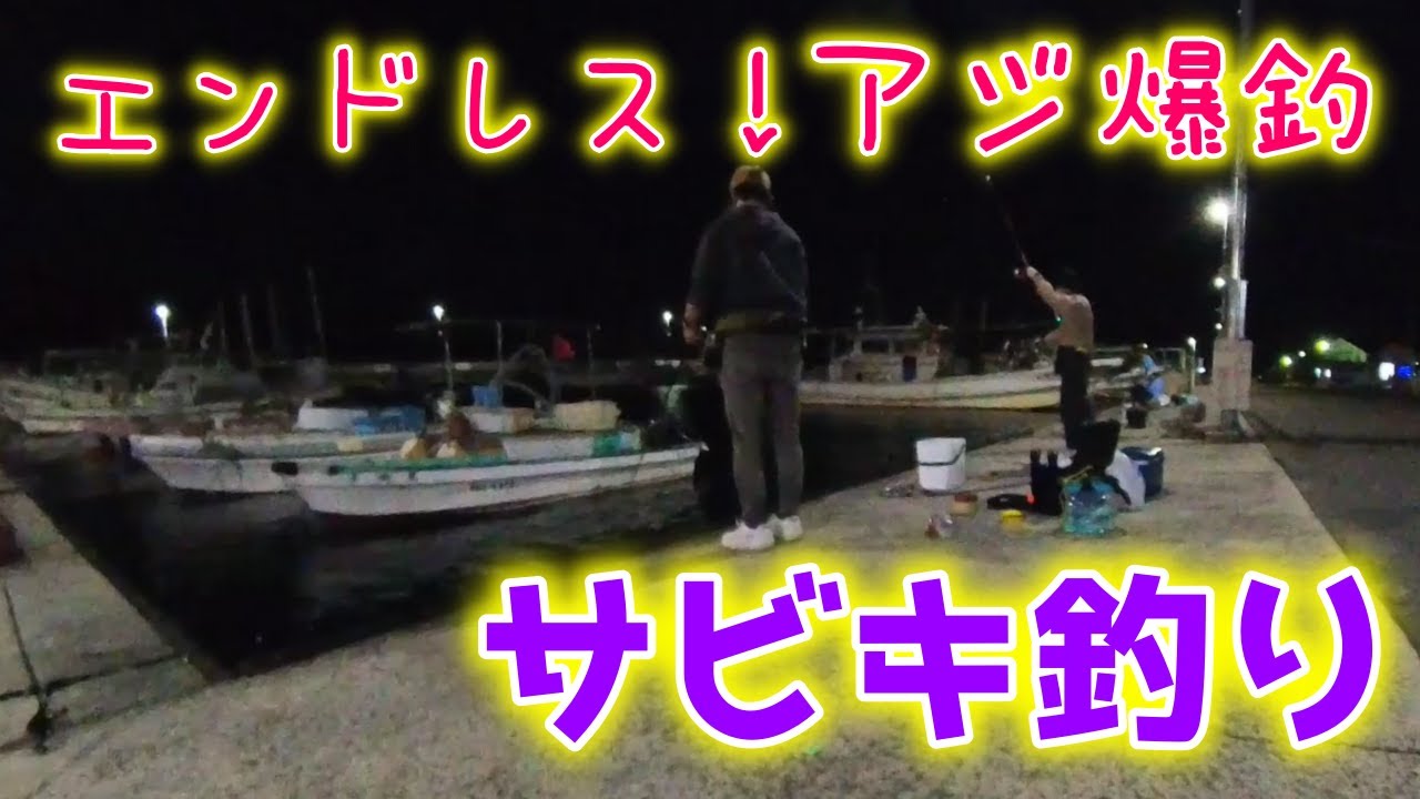 大阪最南端！和歌山のすぐ近く小島漁港で今年もアジ爆釣！サビキ釣り♡