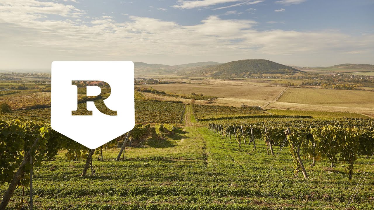Mutatjuk miért érdemes a Balaton helyett Tokaj felé venned az irányt! - Roadster.hu