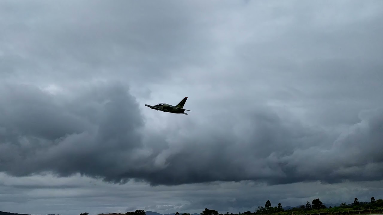 l39c ALBATROS