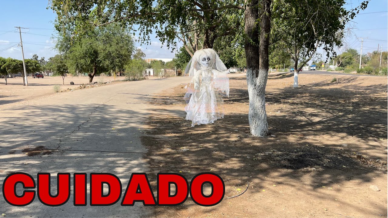 NOVIA DE BLANCO SE APARECE EN CURVA DE ETCHOJOA SONORA